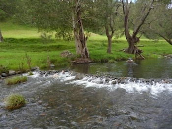 Christmas Creek Cafe & Cabins - Nambucca Heads Accommodation 4