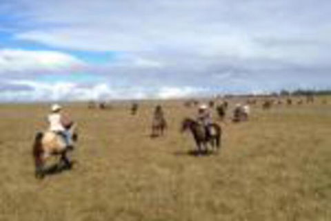 Susan River Homestead - Nambucca Heads Accommodation 0