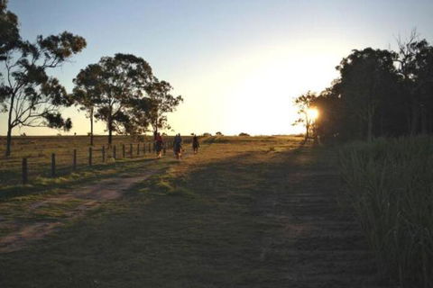 Susan River Homestead - Nambucca Heads Accommodation 2