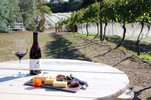Every Man & His Dog Vineyard - Nambucca Heads Accommodation 3