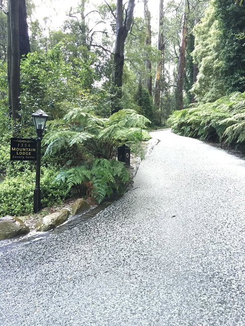 Mountain Lodge - Nambucca Heads Accommodation 0