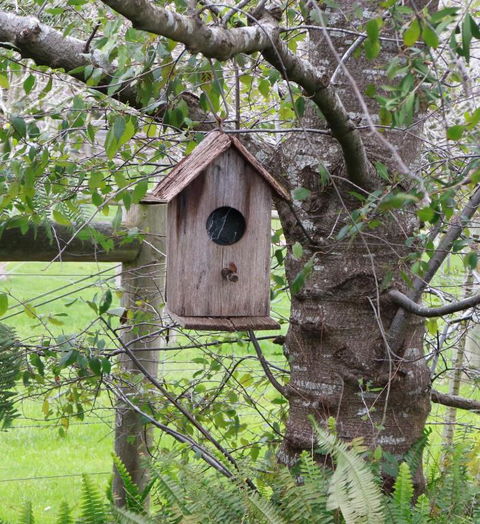 The Little House On The Hill - Nambucca Heads Accommodation 2