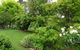 The Little House On The Hill - thumb 1