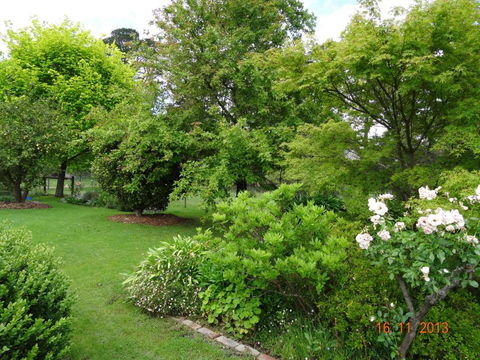 The Little House On The Hill - Nambucca Heads Accommodation 1
