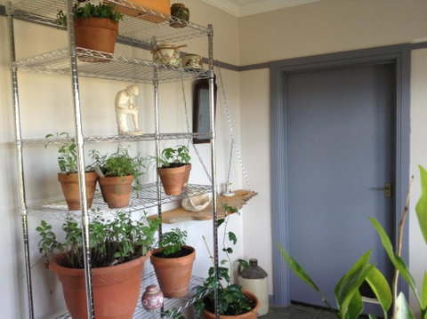 Springmead B & B - Nambucca Heads Accommodation 1