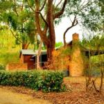 Cedarwood Cottage - Nambucca Heads Accommodation 0