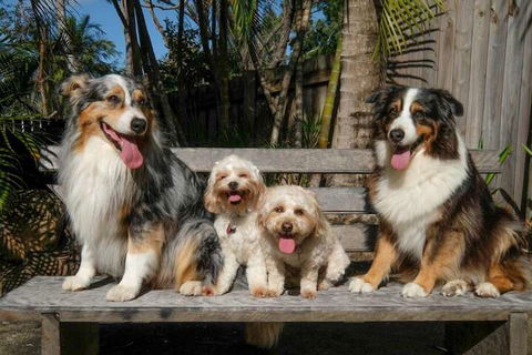 Wildlife Holiday Home - Nambucca Heads Accommodation 4