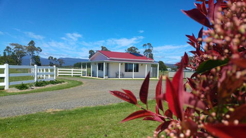 Little Sunnyside Accommodation - Nambucca Heads Accommodation 1