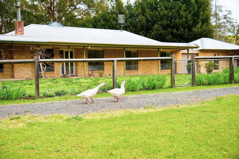 Farm Club Australia - Nambucca Heads Accommodation 1