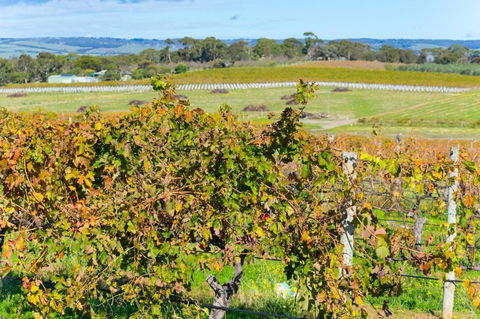 Sun & Surf Aldinga Beach Apartment - Nambucca Heads Accommodation 6