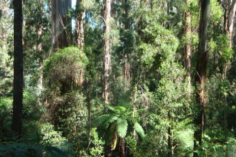 SIGNAL BOX Short Stay - Nambucca Heads Accommodation 3