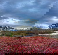 Saintys Creek Cottage - Nambucca Heads Accommodation