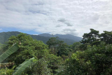 Mossman Gorge Bed & Breakfast - Nambucca Heads Accommodation 5