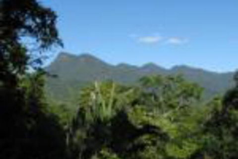 Mossman Gorge Bed & Breakfast - Nambucca Heads Accommodation 0