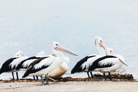 Jacobs Well Tourist Park - Nambucca Heads Accommodation 4