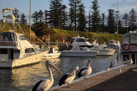 Nautica - Nambucca Heads Accommodation 2
