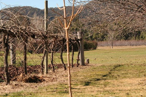 The Farmhouse At Blue Wren Wines - Nambucca Heads Accommodation 3