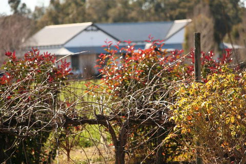 The Farmhouse At Blue Wren Wines - Nambucca Heads Accommodation 2