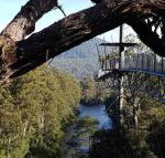Tahune Air Walk Lodge - Nambucca Heads Accommodation