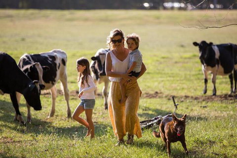 Redgate Forest Retreat - Nambucca Heads Accommodation 4