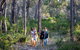Redgate Forest Retreat - thumb 2