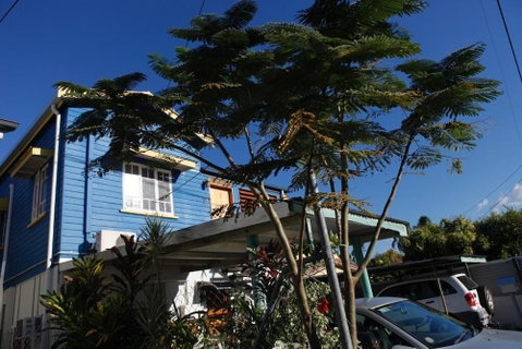 Happytourcairns Sharehouse - Nambucca Heads Accommodation 1