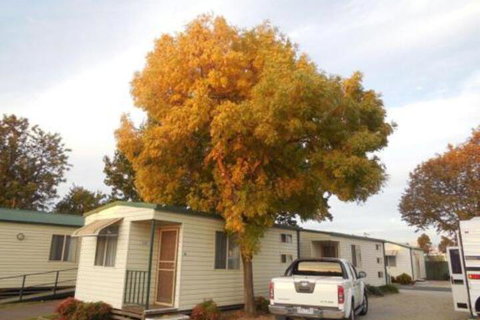 Wodonga Caravan & Cabin Park - Nambucca Heads Accommodation 0