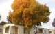Wodonga Caravan & Cabin Park - thumb 1