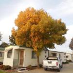 Wodonga Caravan & Cabin Park - Nambucca Heads Accommodation 1