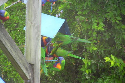 A Lakehouse Escape - Nambucca Heads Accommodation 4
