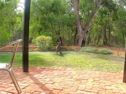 Yallingup Pet Friendly Bush Retreat - Nambucca Heads Accommodation 5