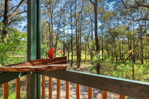 Cockatoo Cottages - Nambucca Heads Accommodation 6