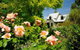 Brigadoon Cottages - thumb 4