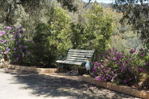 Wild Cherry Bed & Breakfast - Nambucca Heads Accommodation 3