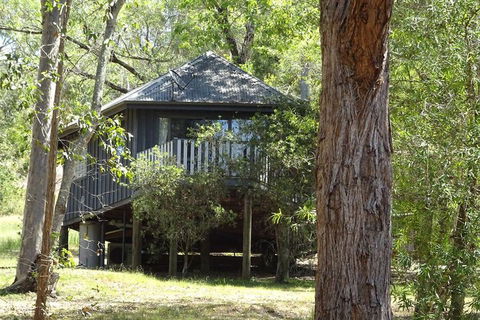 Barrington Tops Nest - Nambucca Heads Accommodation 2