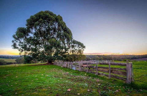 Dingup House - Nambucca Heads Accommodation 4