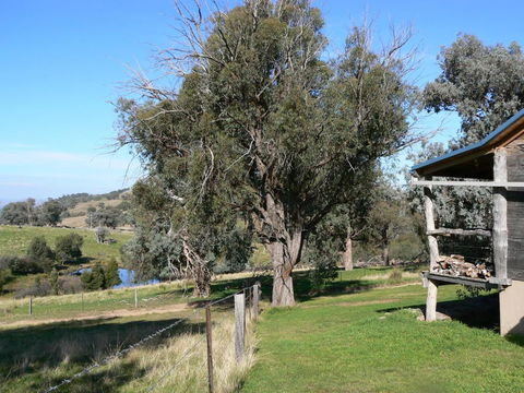 Gaddleen Grove Cottages - Nambucca Heads Accommodation 6