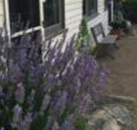 Walnut Cottage - Nambucca Heads Accommodation