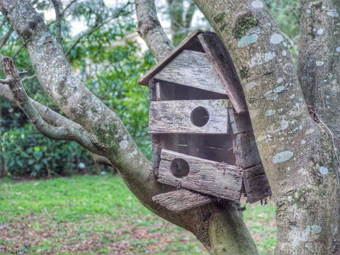 Lark Cottage - Nambucca Heads Accommodation 3