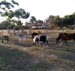 Heartland Hideaway - Nambucca Heads Accommodation