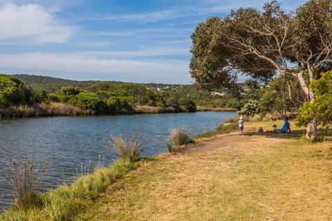 A River Bed Cottage - Nambucca Heads Accommodation 2