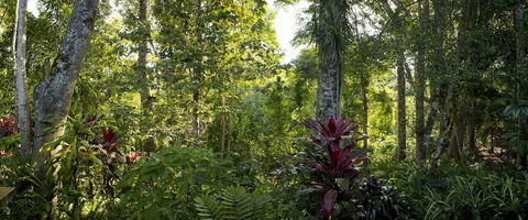 Sharlynn By The River - Nambucca Heads Accommodation 5