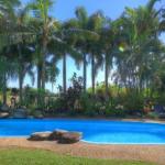 Fishery Falls Holiday Park - Nambucca Heads Accommodation 0