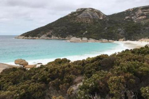 Zephyr Studio - Nambucca Heads Accommodation 6