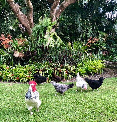 Eden Rest - Nambucca Heads Accommodation 3