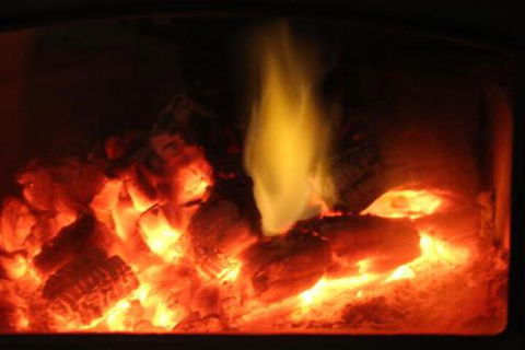 Wattle Grove Homestead Bed & Breakfast - Nambucca Heads Accommodation 1