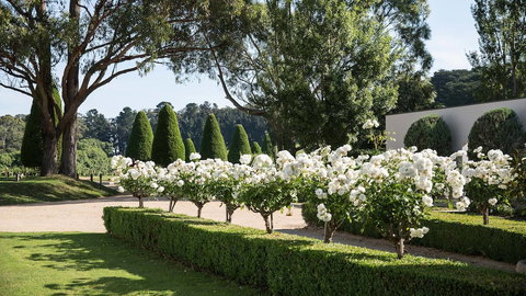 Lancemore Lindenderry Red Hill - Nambucca Heads Accommodation 1