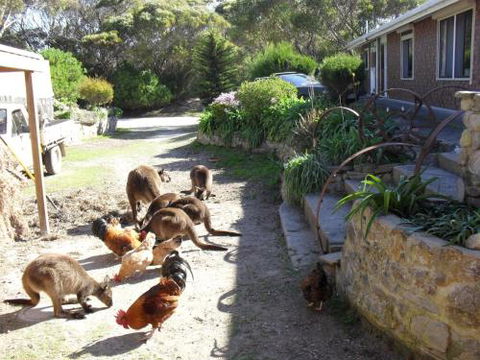 Anchorage Apartments - Nambucca Heads Accommodation 4