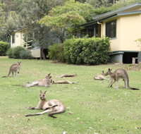 Depot Beach Cabins - Nambucca Heads Accommodation