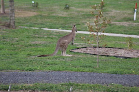 Nyora Lodge B & B - Nambucca Heads Accommodation 7
